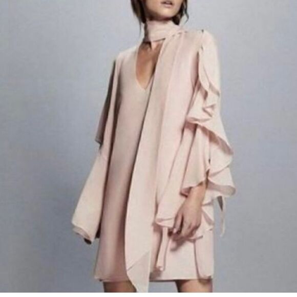 NWOT BCBG S pink silk chiffon dress w flutter sleeves - Picture 2 of 16